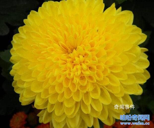 b站十大未解之謎是什么 b站十大未解之謎是哪些