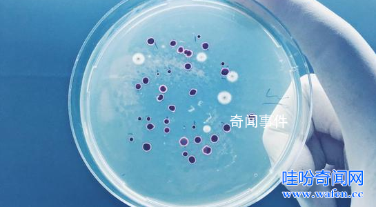 人類根本不是進化來的 達爾文進化論已經被推翻了嗎