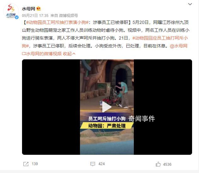 動物園回應員工呵斥抽打小狗 小狗受皮外傷已處理
