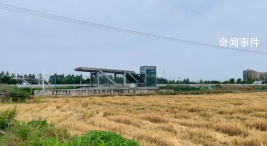 投2億建的地鐵站成“孤島” 地鐵站周邊雜草叢生附近居民繞道而行