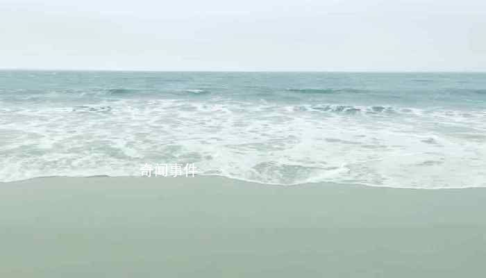 假期為什么總要調休 調休又是從哪來的
