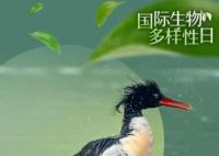 國際生物多樣性日 讓我們同心共建一個美麗的地球家園