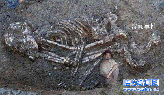 世界第一巨人竟高5米 土耳其巨人骨骸圖片大全