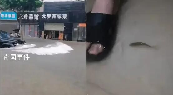 武漢一高校宿舍進水有魚游進屋內 宿舍周圍都是湖