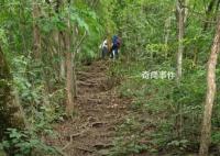 驢友爬山遭雷擊:直挺倒下全身麻木