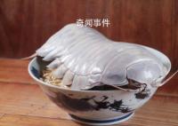 臺灣推出大王具足蟲拉面 大王具足蟲可以吃嗎