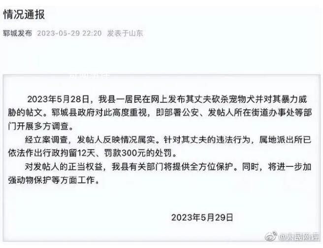 人民網(wǎng)評(píng)男子殺狗嚇妻 對(duì)家暴應(yīng)果斷亮劍