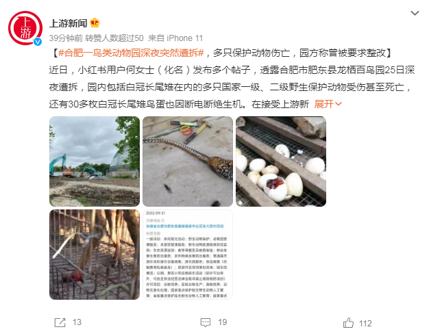 動物園深夜遭拆 多只保護動物傷亡