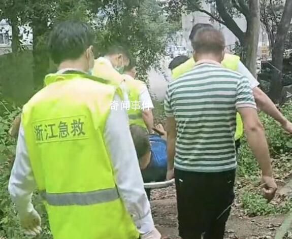 溫州4起摘楊梅墜樹(shù)警情 2人心跳停止