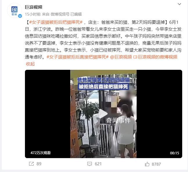 女子退貓被拒后直接把貓摔死 究竟是怎么回事