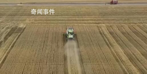 三夏大規模小麥機收全面展開 四川湖北麥收進入尾聲