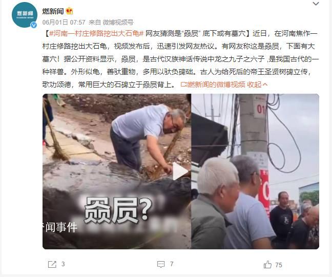 河南一村莊修路挖出大石龜 底下或有墓穴