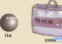 什么是形重錯覺 形重錯覺的例子有哪些