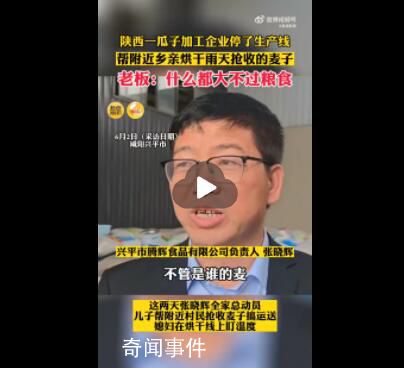 瓜子企業(yè)停工幫鄉(xiāng)親搶收麥子 幫附近鄉(xiāng)親烘干在雨天搶收的麥子