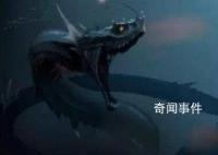 海上蛇怪未解之謎 海上蛇怪的目擊事件有哪些