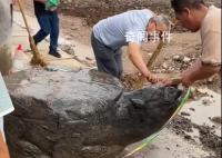 村莊修路挖出大石龜?官方通報(bào)