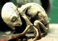 中國人是外星人后裔嗎 外星人暗中幫助中國人是怎么回事