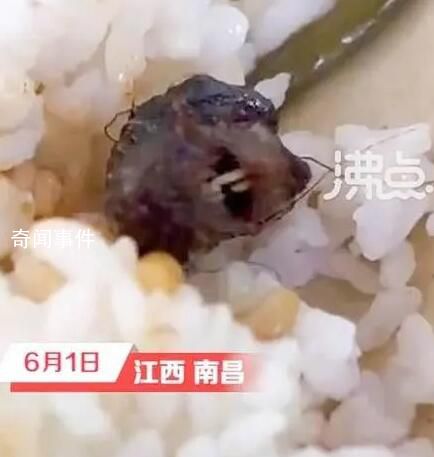 涉事學校曾因老鼠事件被聯合執法 后對供應商重新招標