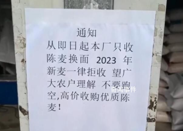 面粉廠不收今年新小麥?當地回應