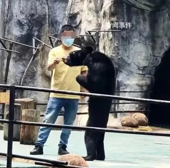 動物園一黑熊骨瘦如柴?園方回應