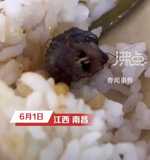 專家談鴨脖爭議:大概率是老鼠頭