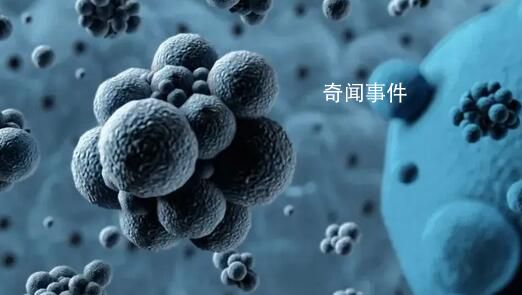 北京發現兩例猴痘病例 其中一例為境外輸入病例