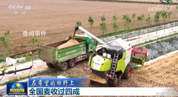 全國麥收過四成 夏收正陸續(xù)進入高峰