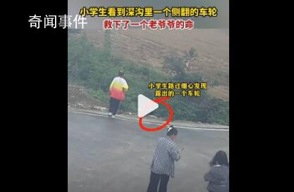 小學生發現深溝露出車輪救人一命 路過群眾紛紛上前幫忙