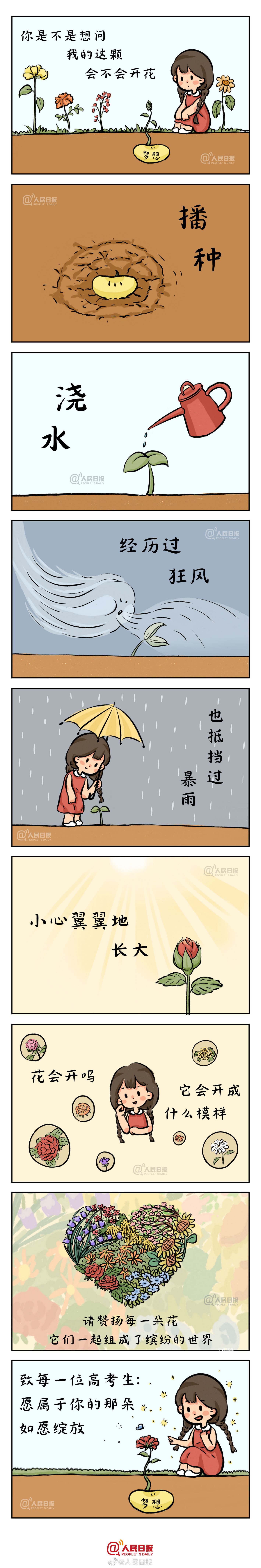 給1291萬高考生的手繪 自己的那顆種子會不會開花