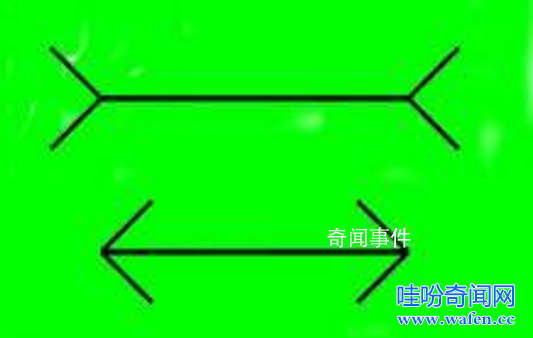 什么是繆勒萊爾錯覺 繆勒萊爾錯覺的形成原因是什么