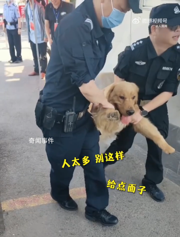 金毛沖進考場被民警無情請出 網友：大學夢就這樣破碎了