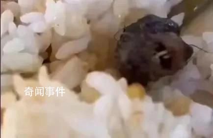 鼠頭鴨脖食堂意見反饋群曝光 事件還在持續(xù)發(fā)酵當(dāng)中