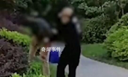 女子公眾場合扯住老人脖子踢打 兩人是父女關系