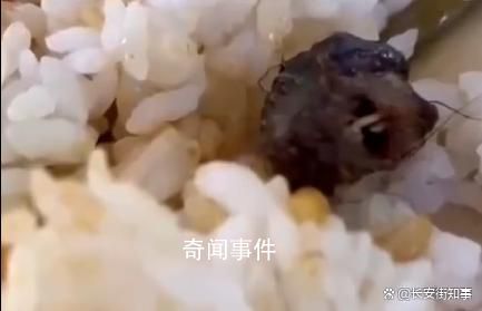 江西成立鼠頭鴨脖事件聯(lián)合調(diào)查組 