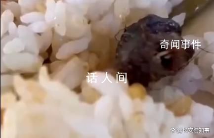 江西就鴨脖事件成立聯合調查組 將及時向社會公布有關調查處理情況