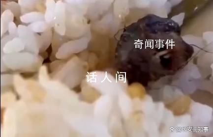 江西酒鴨脖事件成立聯合調查組