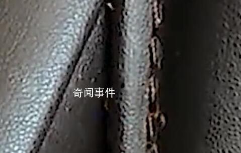 火車站按摩椅現大量蟲子 看著好嚇人