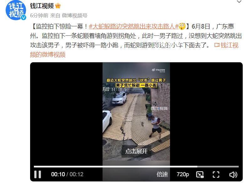 男子被墻角的蛇跳出攻擊 被嚇得一路小跑