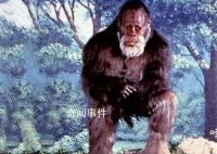 神農架野人目擊事件有哪些 揭秘神農架野人的真相是什么