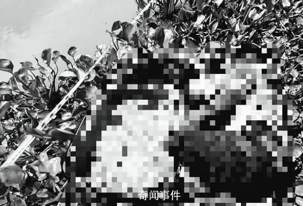 中國(guó)男子被同胞殺害藏尸行李箱 背后真相恐怖至極