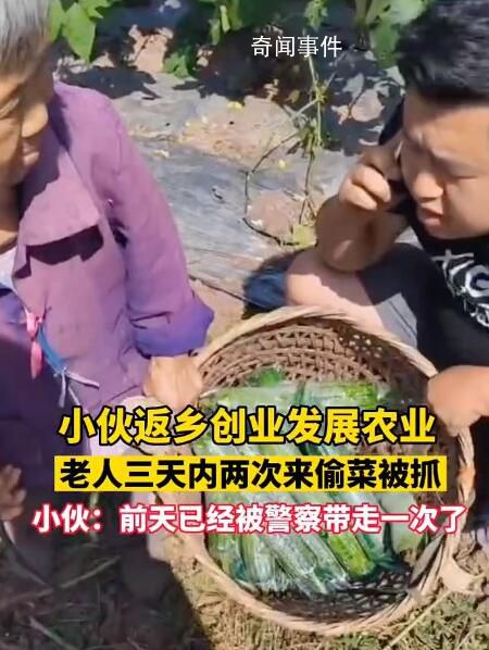 年輕人返鄉創業遇老人頻繁偷菜 老太太賊心不死