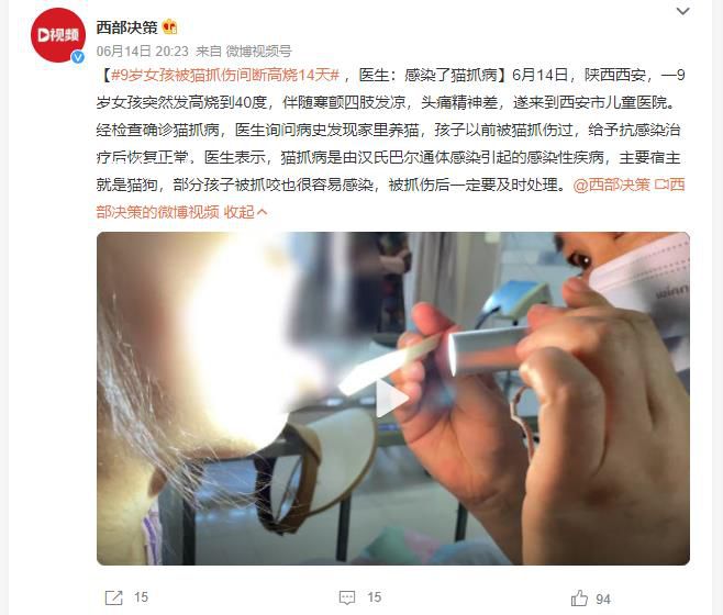 9歲女孩被貓抓傷高燒14天 給予抗感染治療后恢復正常