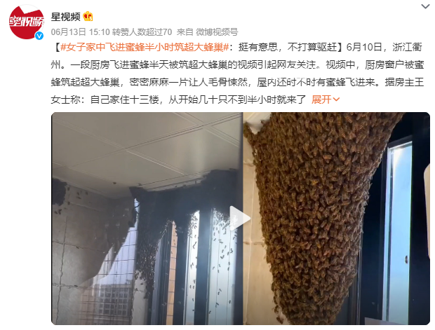 女子家中進蜜蜂 半小時被筑超大蜂巢