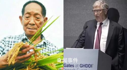 蓋茨北京演講盛贊袁隆平 稱其攻克了影響人們生活質量的關鍵問題