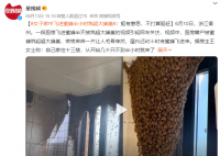 女子家中進蜜蜂 半小時被筑超大蜂巢
