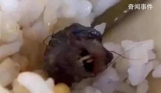 官方:“鼠頭鴨脖”事件異物為鼠頭