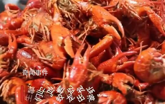 高校請近300名畢業(yè)生吃龍蝦宴