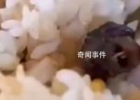吃了被老鼠污染的食物怎么辦?
