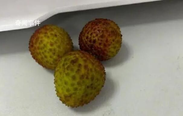 端午公司發了3顆荔枝 此事引起網友熱議