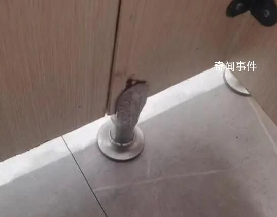 臥底偷拍群:獲取視頻如同“網購”